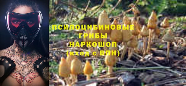 jwh Вяземский